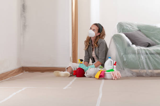 Reliable Mold Inspection And Testing contractor in Shrewsbury, NJ by Mold Remediation HQ